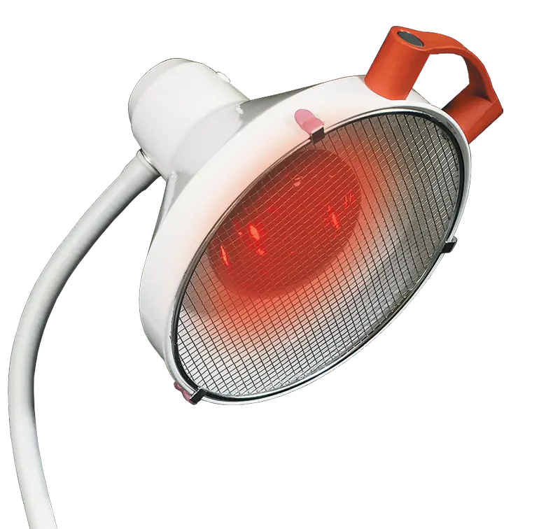 Ampoule de rechange pour la Lampe Infrarouge Thera/Thera Duo 250 W - LID