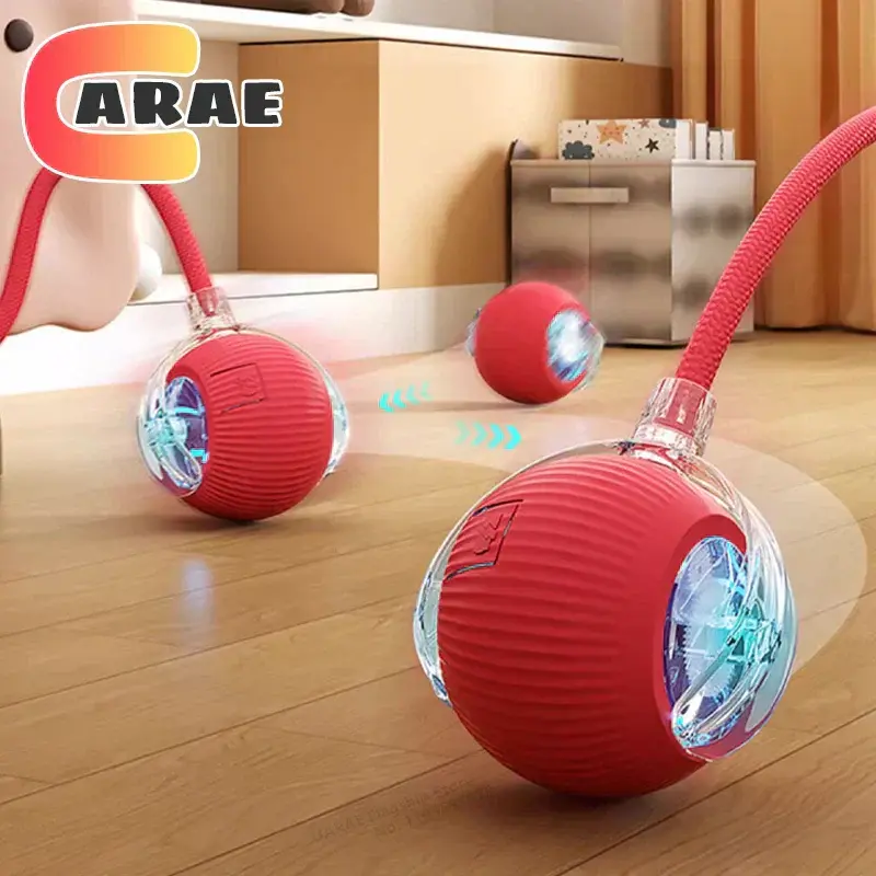 Balle Magique et Interactive Chien et Chat - 1 Acheté = 1 OFFERTE