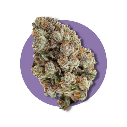 Big Bud Boost - CBD CHILL