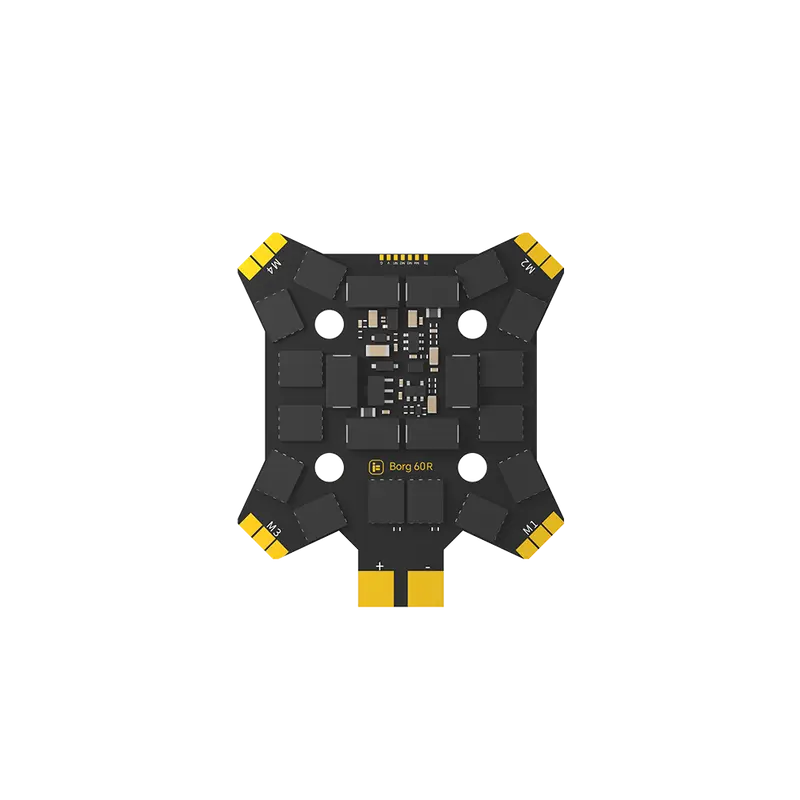 Borg 60R ESC