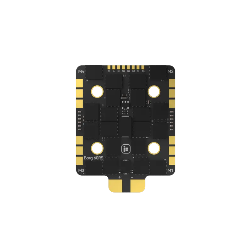 Borg 60RS ESC