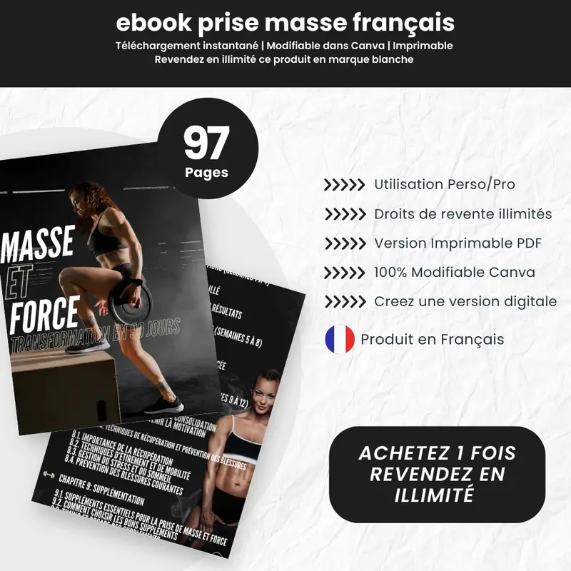 ebook prise de masse PLR Français