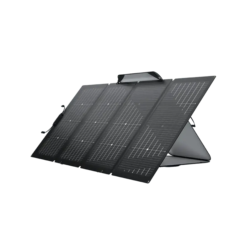ECOFLOW Pannello Solare Bifacciale Pieghevole da 220W
