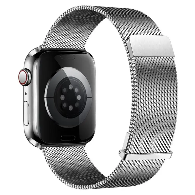 For Apple Watch 42mm / 41mm / 40mm / 38mm Plain Two-Section Dual Magnetic Milanese Metal Watch Band(Silver)