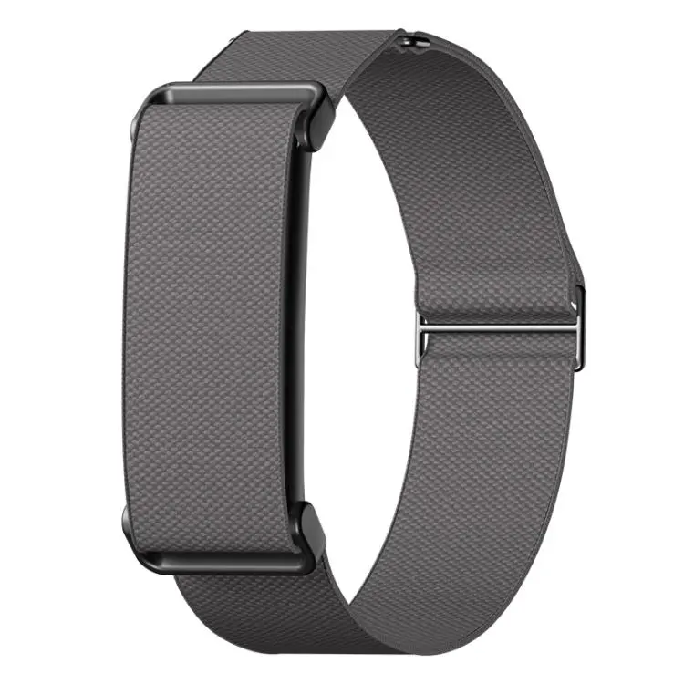 For Google Fitbit Air Metal Frame Eight-Shaped Buckle Nylon Elastic Watch Band(Dark Gray)