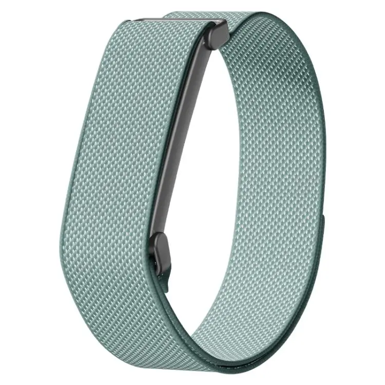 For Google Fitbit Air Metal Frame Grid Texture Nylon Hook And Loop Fastener Watch Band(Misty)