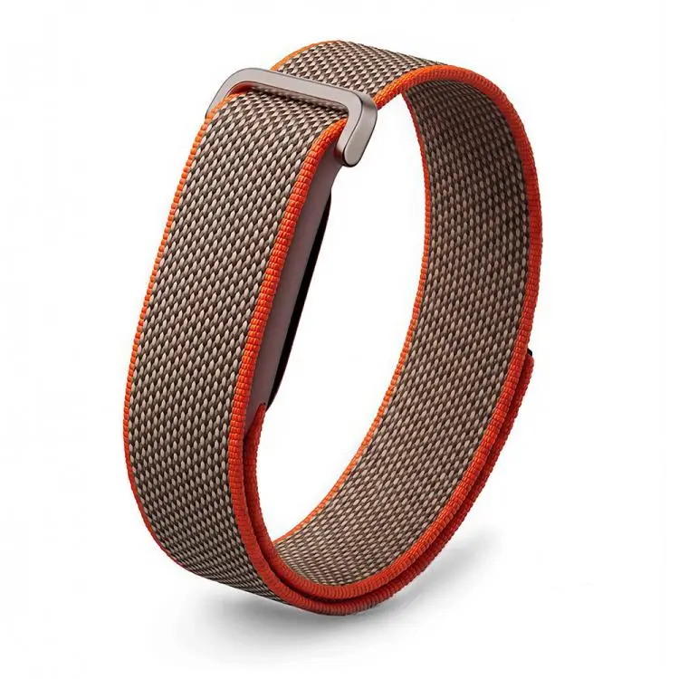 For Google Fitbit Air Nylon Braided Hook and Loop Fastener Watch Band(Rye)