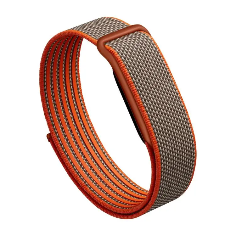 For Google Fitbit Air Nylon Loop Hook and Loop Fastener Watch Band(Rye)