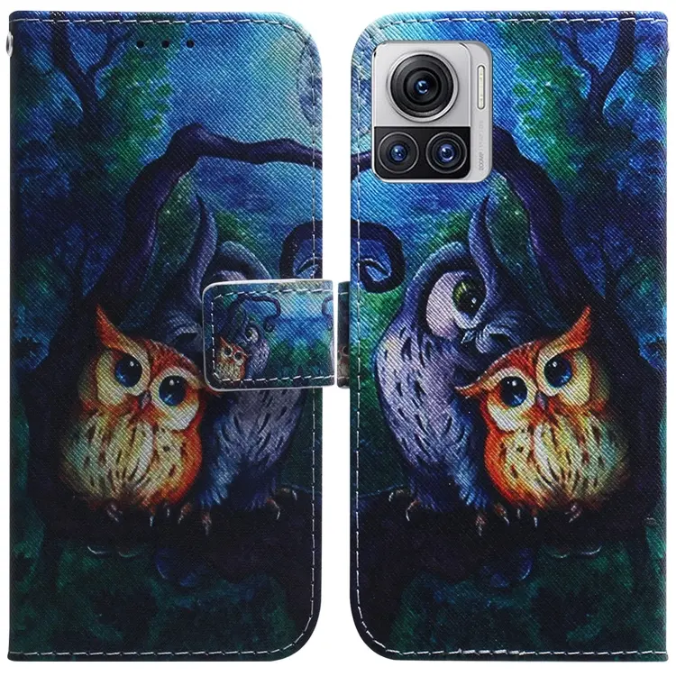 For Motorola Moto X30 Pro 5G / Edge 30 Ultra Coloured Drawing Leather Phone Case(Oil Painting Owl)
