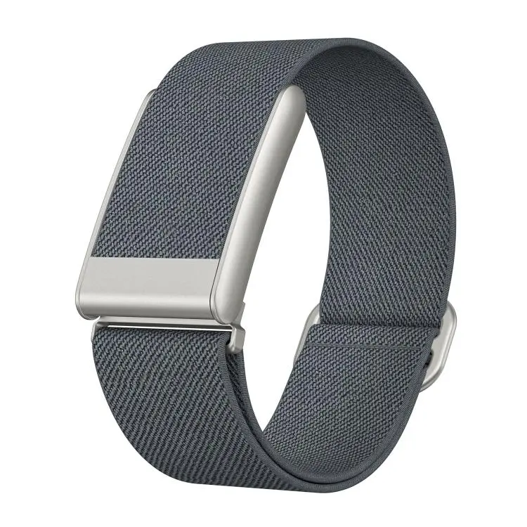 For WHOOP 5.0 Regular Slide Clasp Elastic Nylon Watch Band(Grey)
