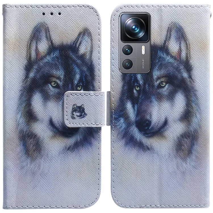 For Xiaomi 12T Pro Coloured Drawing Flip Leather Phone Case(White Wolf)
