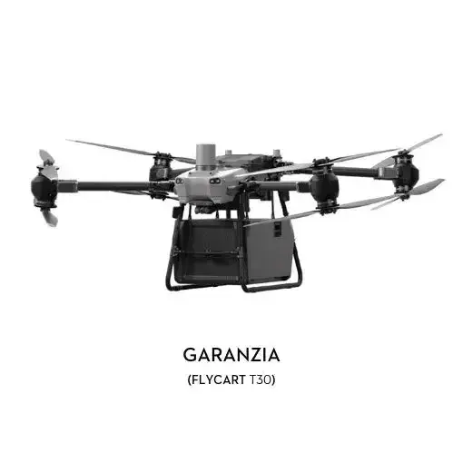 Garanzia 12 mesi DJI FlyCart 30