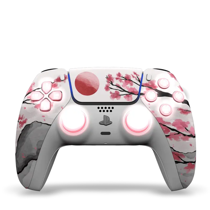Hanami FPS / Kit Leds