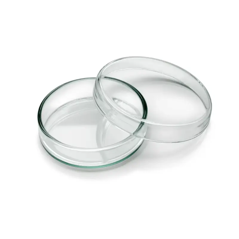 Insert en verre - Ruck