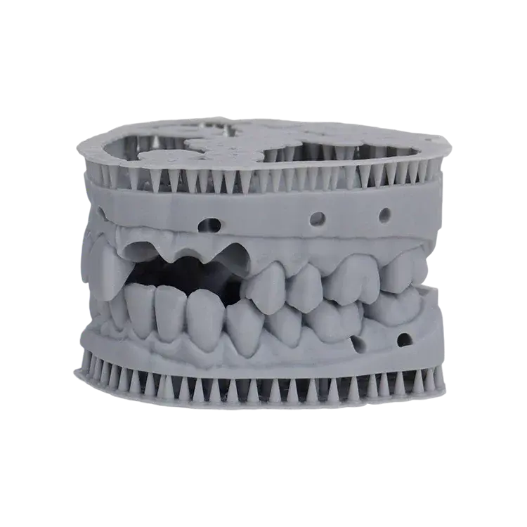 Liqcreate Dental Model Pro
