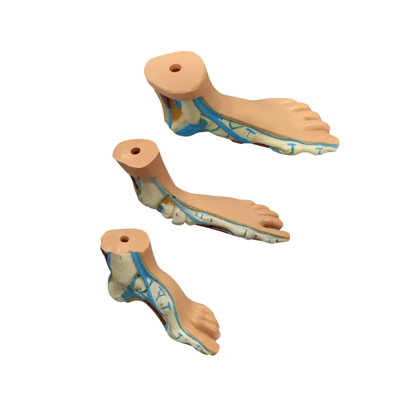 Lot de 3 pieds anatomiques