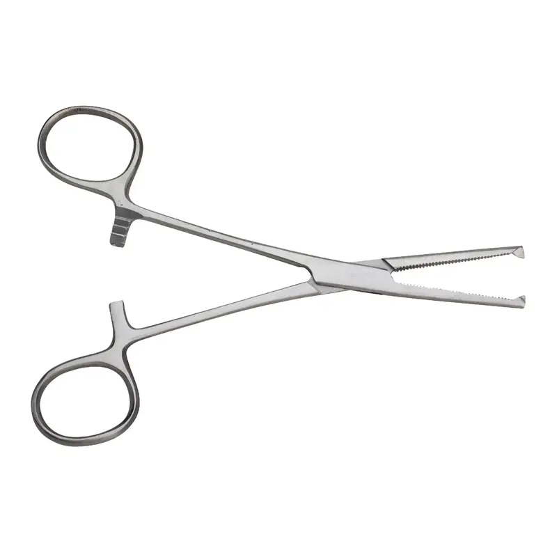 Pince Kocher - Droite - Avec griffes - 16 cm