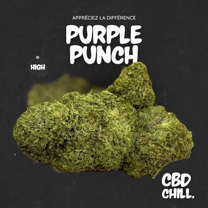 PURPLE PUNCH