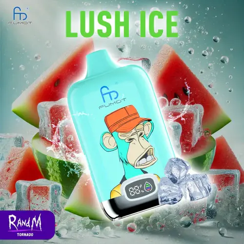 RandM Digital Box 12000 Bouffées Lush Ice