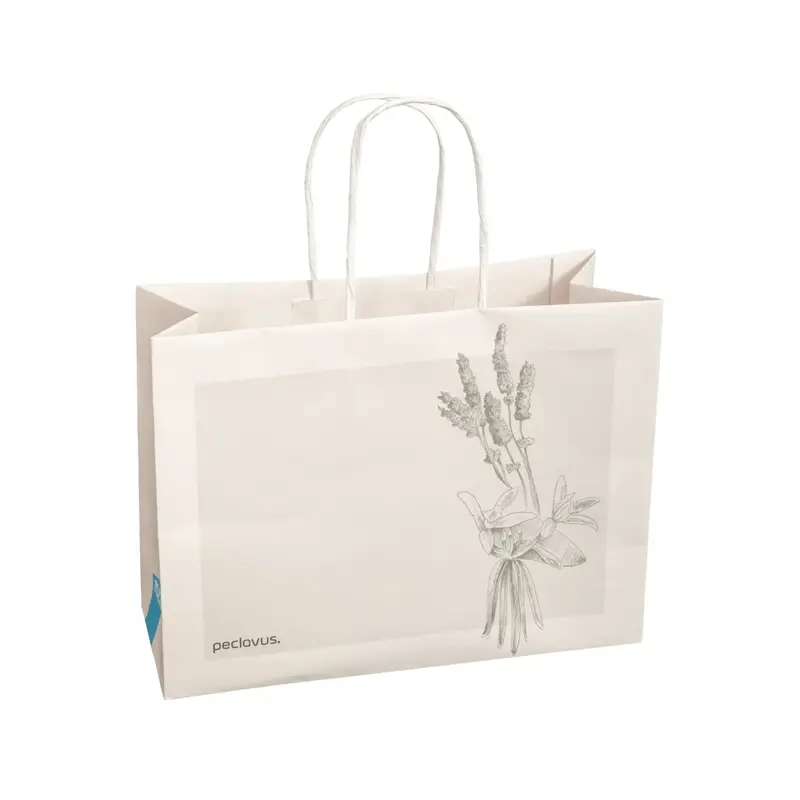 Sac cadeau en papier Kraft Peclavus - Lot de 10 - Ruck