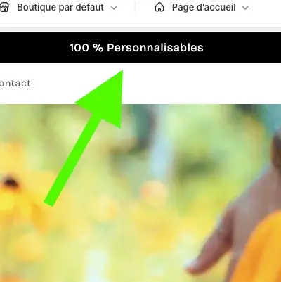Section Shopify AnnonceMoi