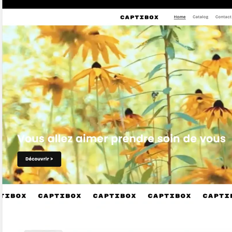 Section Shopify Bannière Vidéo