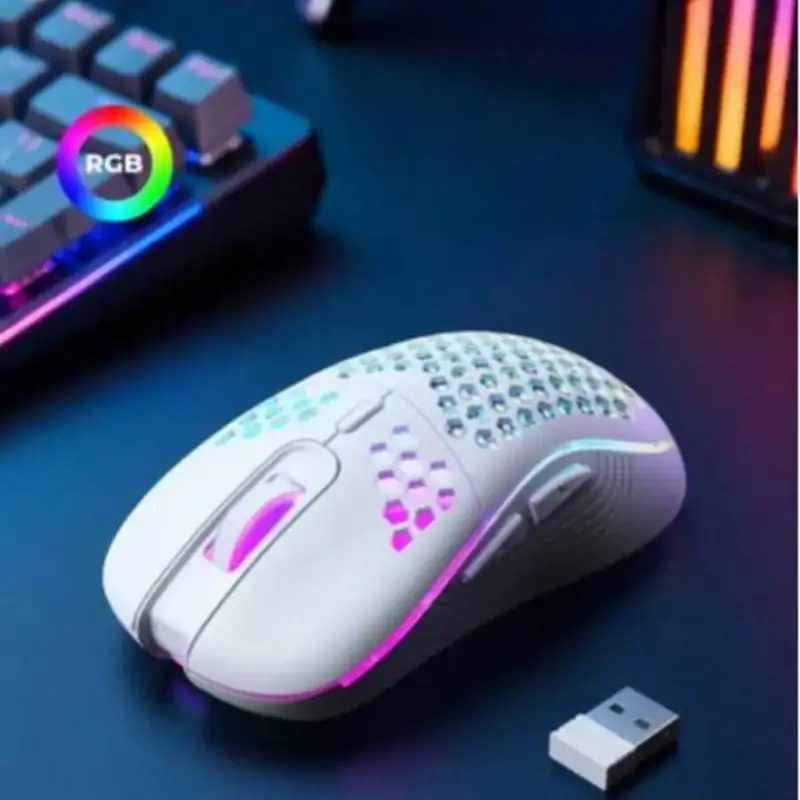 Souris Gaming Sans Fil RGB - Coque Nid d'Abeille Ultra Légère